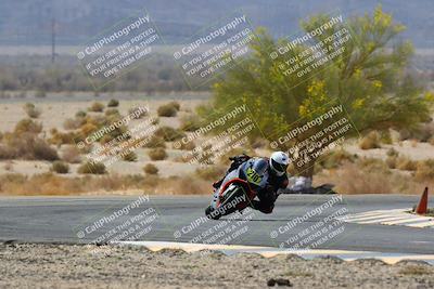 media/Apr-10-2022-SoCal Trackdays (Sun) [[f104b12566]]/Turn 5 Tree of Life (1040am)/